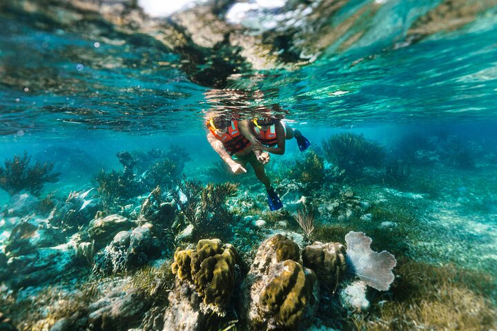 Reef Snorkeling in National Park from Cancun with Beachside Lunch | 2026 VIP Concierge