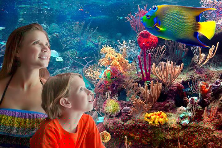Xcaret Park Entry Tickets with Cultural Night Show Included | 2026 VIP Concierge