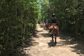 Cancun Extreme Local Adventure: Horseback Riding plus ATV, Cenote, Ziplines, and Lunch