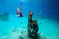 VIP Isla Mujeres Sailing: Luxury Catamaran — Adults Only or Family Friendly