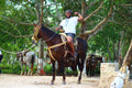 Cancun Extreme Local Adventure: Cancun ATV, Zipline, Cenote, Horseback Riding & Tequila Tasting