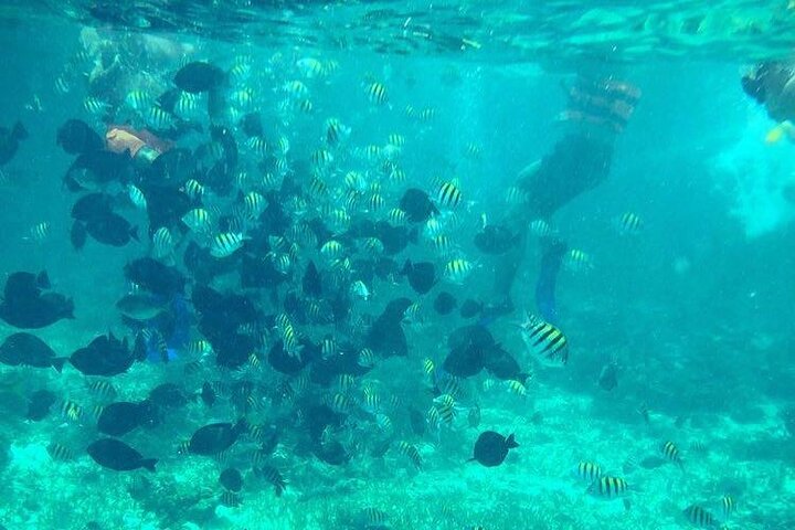 Cancun Jetski and Snorkel Adventure | 2026 VIP Concierge