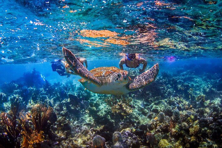Cancun Extreme Local Adventure: Hidden Cenote Swim: Snorkeling, Sea Turtles and Beachside Lunch