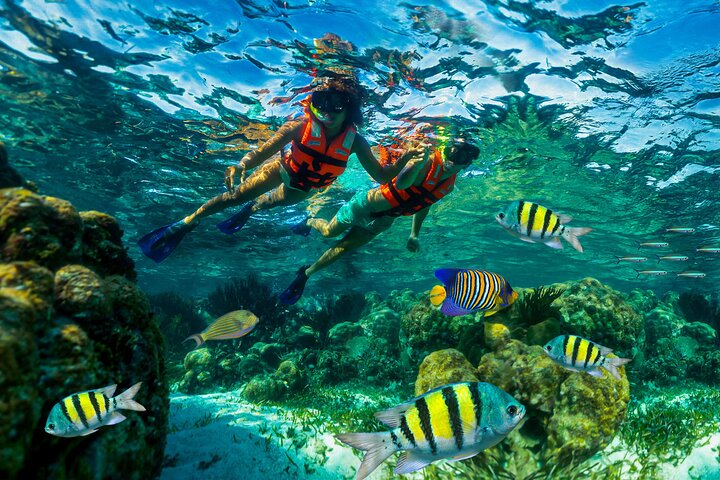 Reef Snorkeling in National Park from Cancun with Beachside Lunch | 2026 VIP Concierge