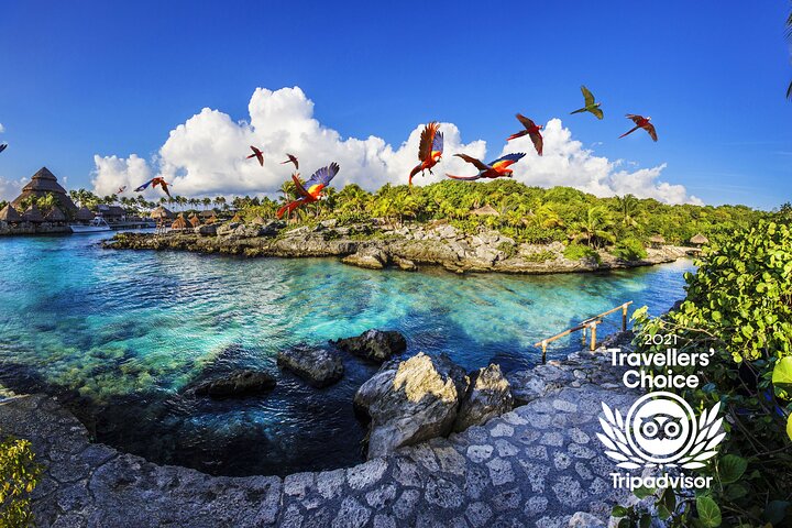 Xcaret Park Entry Tickets with Cultural Night Show Included | 2026 VIP Concierge