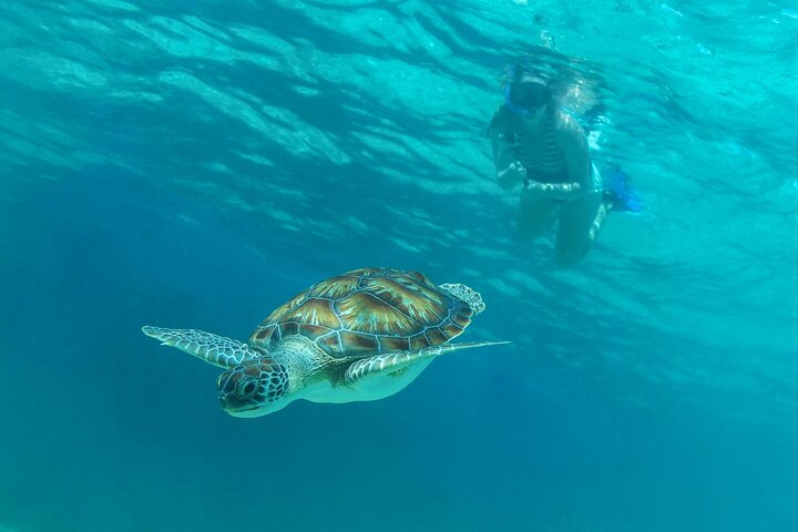VIP Isla Mujeres Sailing: Half-Day Luxury Sailing Experience in Tulum with Open Bar