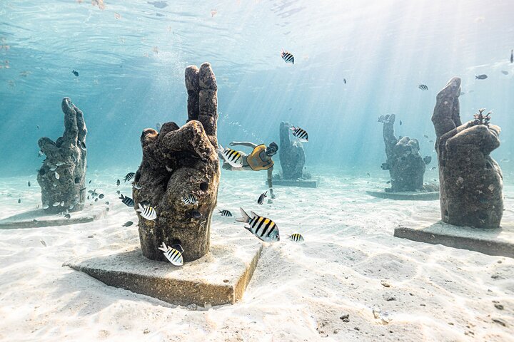 Cancun Extreme Local Adventure: 5-in-1 Snorkel — Reef, MUSA, Turtles, Shipwreck & Cenote
