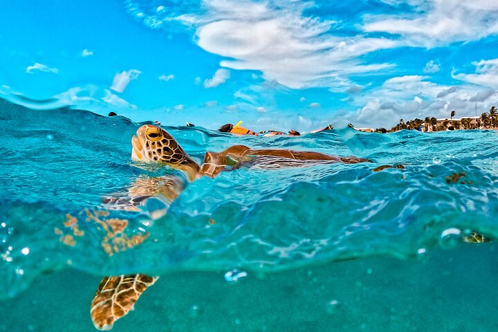Cancun Extreme Local Adventure: Half-Day Sea Turtle Snorkel, Reef & Cenote Caves