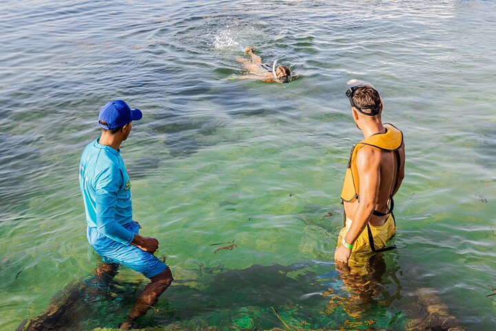 Cancun Extreme Local Adventure: 5-in-1 Snorkel — Reef, MUSA, Turtles, Shipwreck & Cenote
