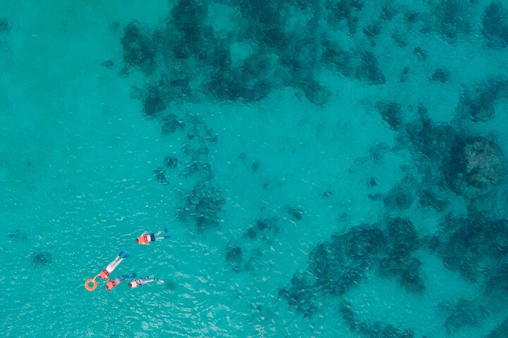 Cancun Extreme Local Adventure: Cancun: Sea turtles and Cenote Tour With Pick Up from your Hotel